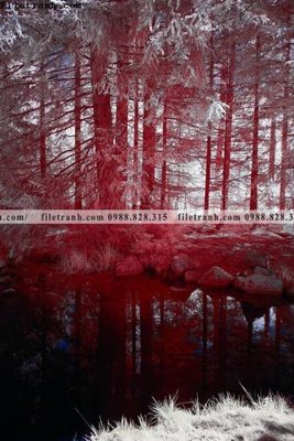 File gốc in ấn tranh loi vao phong canh doc 517 (sẵn sàng tải về)