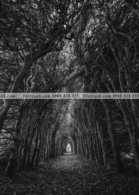 Tệp tin gốc tranh loi vao phong canh doc 520 (chất lượng cao) tranh loi vao phong canh doc 520