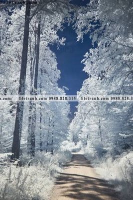 File tranh gốc tranh loi vao phong canh doc 527 (bản quyền) Filetranh.com