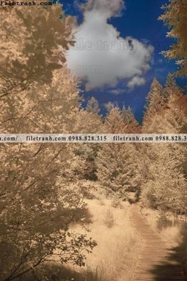 File gốc tranh loi vao phong canh doc 547 (in lụa) tranh thuận buồm