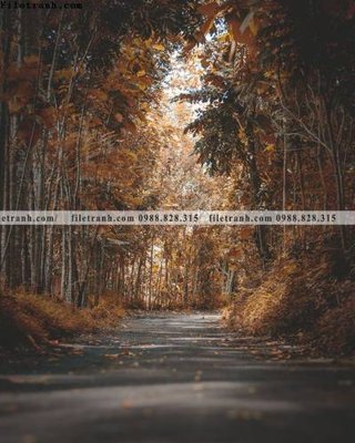 File gốc tranh loi vao phong canh doc 552 (thiết kế) độc quyền