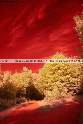 File PSD tranh loi vao phong canh doc 561 (gốc) nhiều lớp (multi-layer)