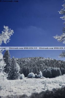 File gốc tranh loi vao phong canh doc 562 (in mica) làm bảng hiệu