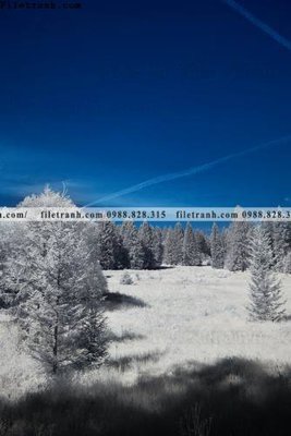 File tranh gốc tranh loi vao phong canh doc 565 chủ đề hiện đại