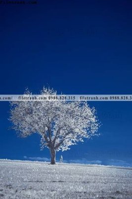 File gốc tranh loi vao phong canh doc 570 (in lụa) cao cấp