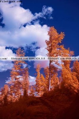 File gốc tranh loi vao phong canh doc 571 (cho in ấn) độc quyền