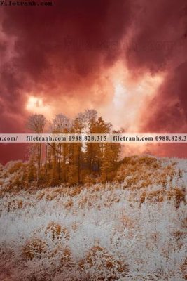 Mua file gốc tranh loi vao phong canh doc 572 (PSD) tại Filetranh.com