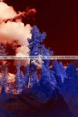 Tải file tranh loi vao phong canh doc 573 (gốc) làm file in ấn