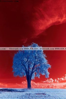 File gốc tranh loi vao phong canh doc 586 (Filetranh.com) tranh loi vao phong canh doc 586