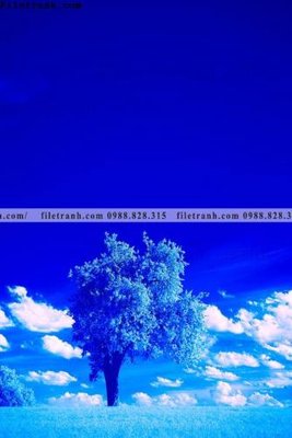 File ảnh tranh loi vao phong canh doc 595 (gốc) dùng in Pano