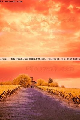 Tải file tranh loi vao phong canh doc 598 (gốc) in nhanh