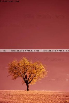 Download file gốc tranh loi vao phong canh doc 605 (in lụa) hoa lá