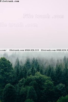 File in ấn tranh loi vao phong canh doc 606 (bản gốc) cao cấp