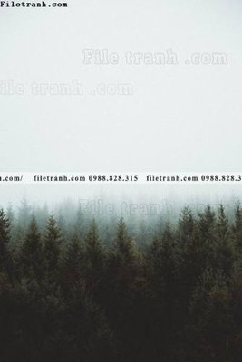 Tải file gốc tranh loi vao phong canh doc 618 (bản PSD) chỉnh sửa được