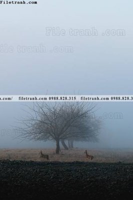 Tải file tranh loi vao phong canh doc 619 (gốc) in trên mọi chất liệu