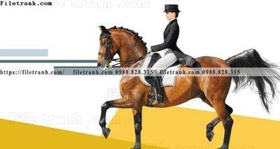 Mua file ảnh gốc tranh ngua hien dai 115 (chất lượng cao)