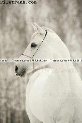 Download file gốc tranh ngua hien dai truu tuong 121 (in mica) trang trí