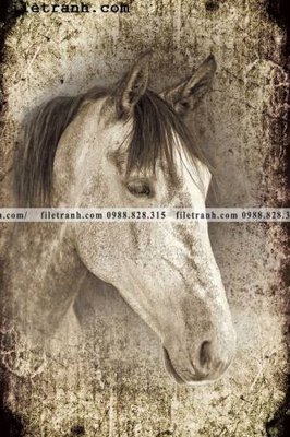 File in trần tranh ngua hien dai truu tuong 123 (file gốc) xuyên sáng