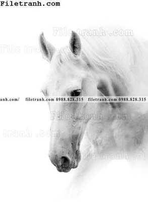 Chi tiết file ảnh tranh ngua hien dai truu tuong 129 sắc nét