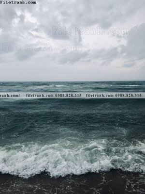 File gốc in mica tranh phong canh rung loi vao 501 chất lượng