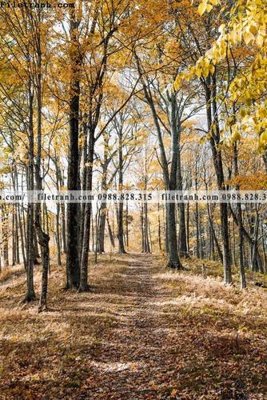 Tải file tranh phong canh rung loi vao 503 (PSD) cho in tranh 3D