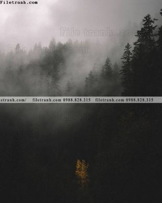 Tải file tranh gốc tranh phong canh rung loi vao 505 chất lượng cao