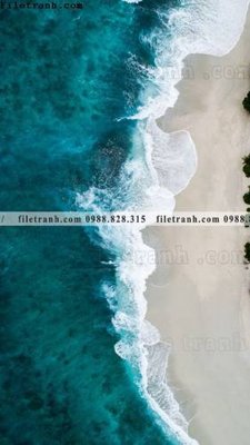 File in mica tranh phong canh rung loi vao 522 (bản gốc) sắc sảo