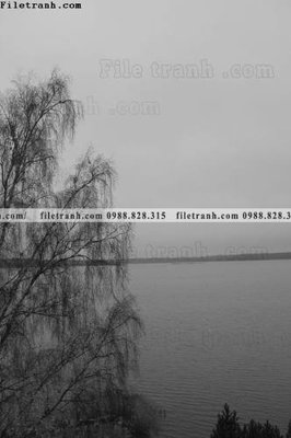 File gốc tranh phong canh rung loi vao 525 (trang trí) phòng ngủ