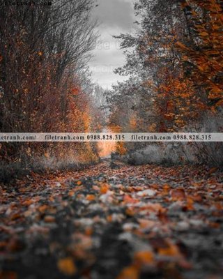 File gốc tranh phong canh rung loi vao 529 (in lụa) tranh mã đáo