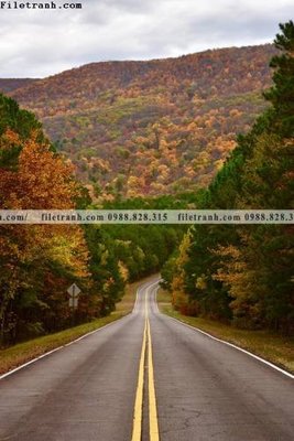 Download file ảnh gốc tranh phong canh rung loi vao 539 để in ấn