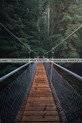 Mua file gốc tranh phong canh rung loi vao 557 (in ấn) tại Filetranh.com