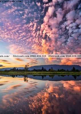 File tranh tranh phong canh rung loi vao 575 (ảnh gốc) độ nét vượt trội