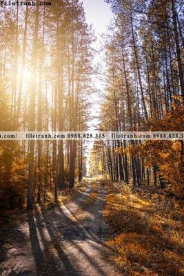 File tranh gốc tranh phong canh rung loi vao 579 (bản đẹp) độc quyền