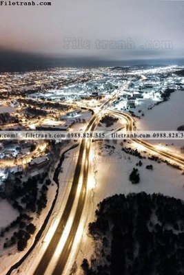 Download file gốc tranh phong canh rung loi vao 582 (in lụa) cao cấp