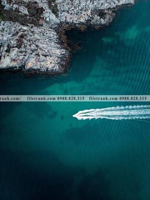 File in trần tranh phong canh rung loi vao 583 (bản gốc) phong cảnh