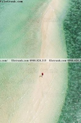 File in lụa tranh phong canh rung loi vao 603 (chất lượng cao) tranh phong canh rung loi vao 603