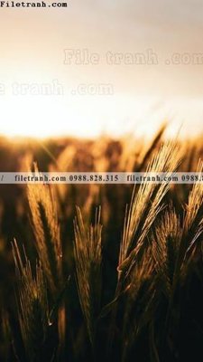 File tranh gốc tranh phong canh rung loi vao 605 (bản quyền) Filetranh.com