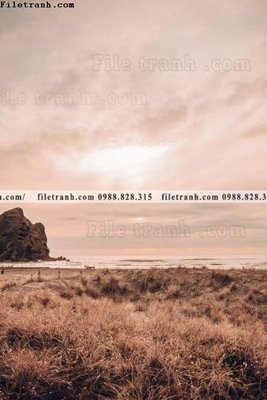 File in mica tranh phong canh rung loi vao 617 (ảnh gốc) đẹp