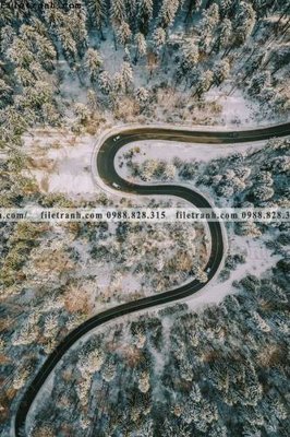 File gốc tranh phong canh rung loi vao 621 (cho in UV) siêu nét