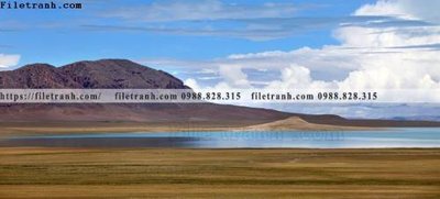 File in ấn cao cấp tranh phong canh tay tang 213 (file gốc)