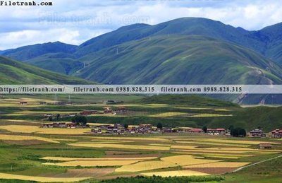 Tải file gốc tranh phong canh tay tang 311 (để in lụa)