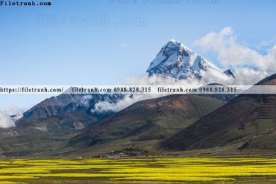 Hình ảnh file gốc in trần nhà tranh phong canh tay tang 314