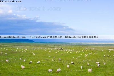 File gốc tranh phong canh tay tang 318 (in ấn) không giới hạn