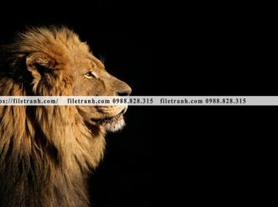 Tải file tranh su tu dep 608 (ảnh gốc) in tráng gương