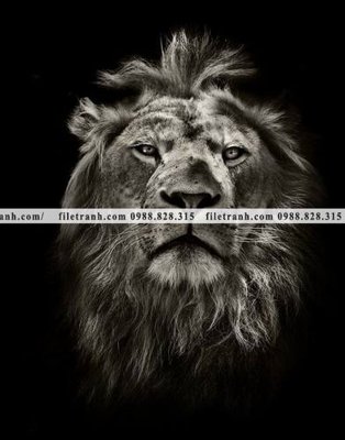 File in trần tranh su tu dep 611 (bản gốc) đại dương