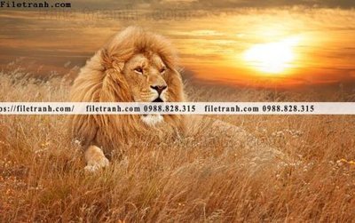 Tải file tranh su tu dep 615 (ảnh gốc) độ phân giải 300dpi