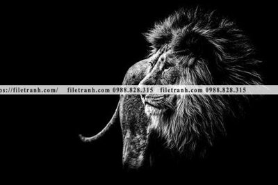 File in trần tranh su tu dep 617 (file gốc) xuyên sáng