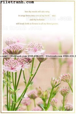 File in trần tranh trang tri bac au dep 232 (file gốc) chủ đề vũ trụ