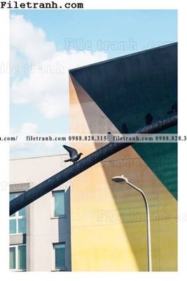 File gốc tranh truu tuong toi gian 117 (PNG) nền trong suốt