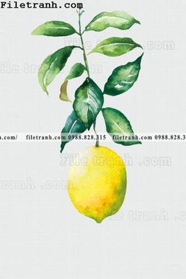 File gốc tranh ve hoat hinh phong tre em 331 (in lụa) cao cấp